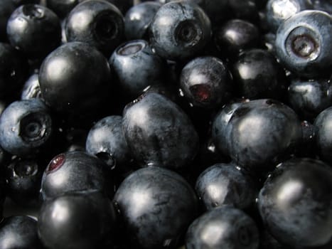 close up of bilberries