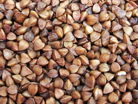 close up of buckwheat