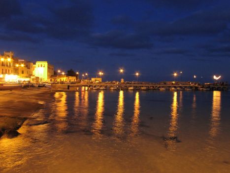 night coast view with light reflections on the water