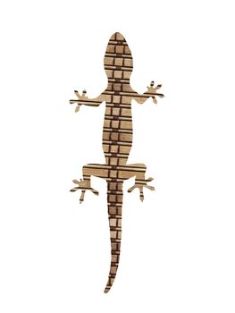 Closeup of a gecko on white with wood texture