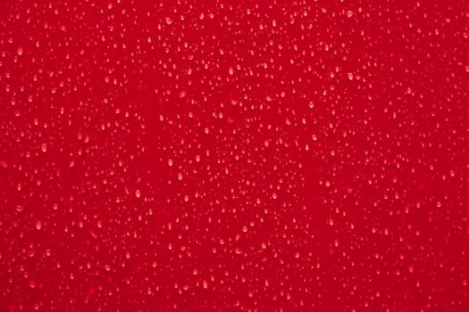 Water droplets on a red surface