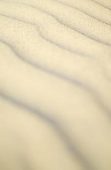 Macro photograph of paterns in sand. Vertical.