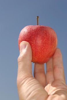 Hand holds apple............................