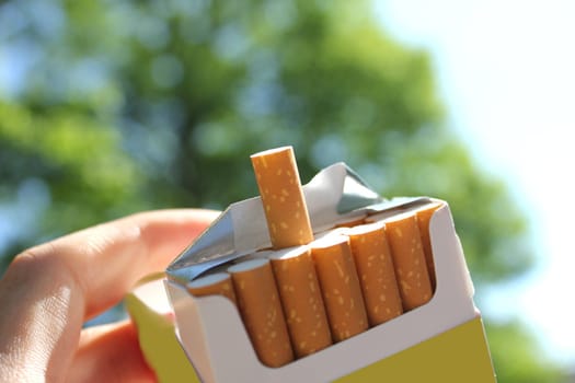 cigarettes in the park
