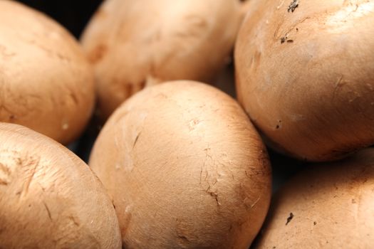 kitchen mushroom heads