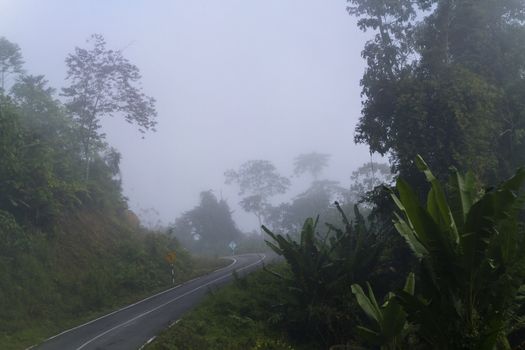 an aspalt road going uphill in the middle of foggy tropical forest of Sarawak, Malaysia