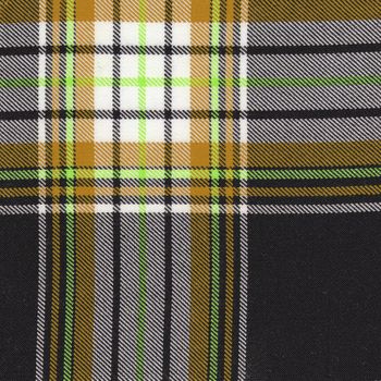 fabric plaid texture. (High.res.scan)