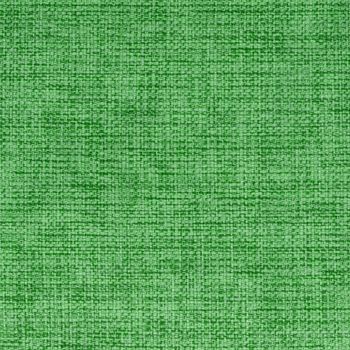 Green Fabric Texture (High.res.scan)