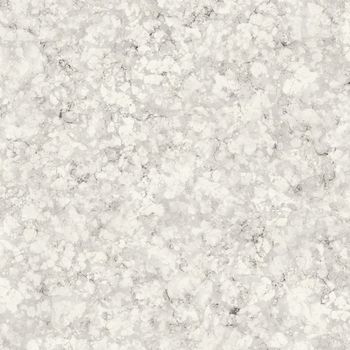 White Marble Texture (high res. scan)
