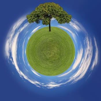 Eco Friendly Image of Grass Planet and Tree