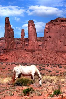 Horse Grazing in a Beautiful Monument Valley Landscape 