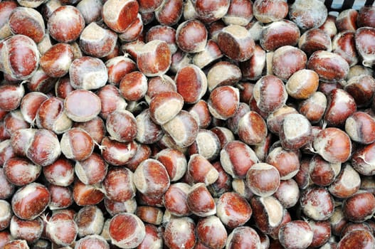 Closeup view of fresh chestnuts fruits in autumn