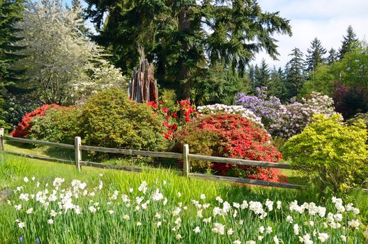 Botanical spring garden in full bloom