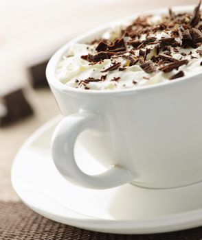 Hot cocoa with shaved chocolate and whipped cream