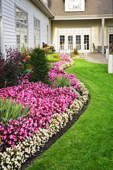 Flowerbed of colorful flowers against wall with windows