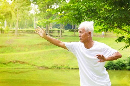 Asian senior man practicing tai chi in the park