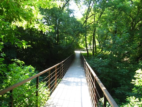 The bridge across ravine in the park