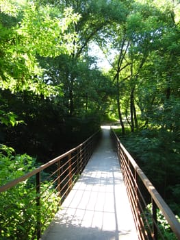 The bridge across ravine in the park