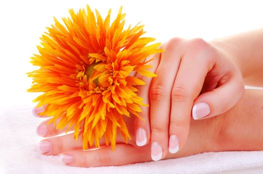 Female hands with nice french manicure and a flower on white towel