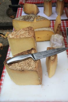 Pieces of different sorts of cheese on a local market