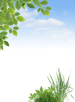 Ecology concept. Border made from green grass and leaves against blue sky.Nice background with blank space for text