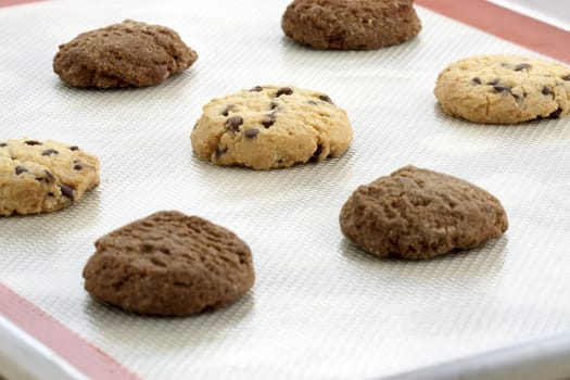 Fresh baked Stack of warm chocolate chips cookies and chocolate cookies on baking tray shallow DOF  