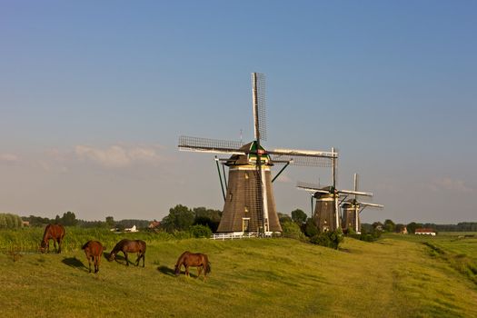 Three historic windmills in a Dutch landscape