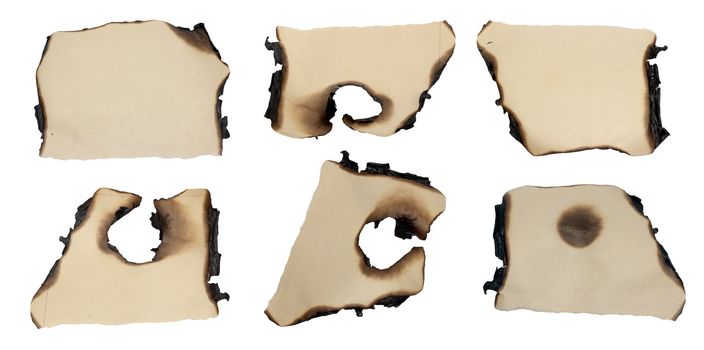 charred scraps of paper on a white background