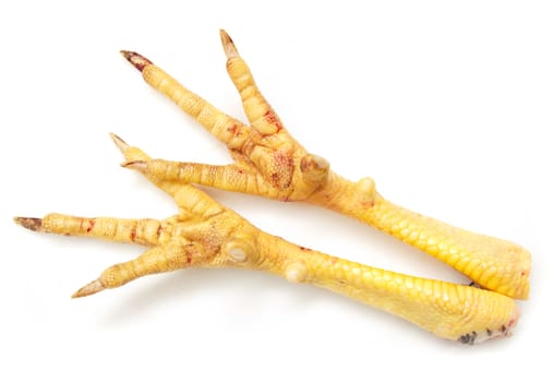 Chicken feet on white background