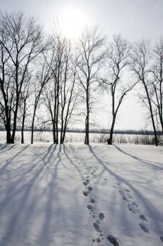 Two human footstep on snow with silhouette of trees on background