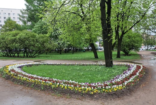 Flower bed in a city park spring rain