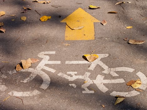 yellow arrows and bicycle sign path on the road