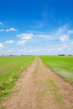 Off-road track on green field with blue sky