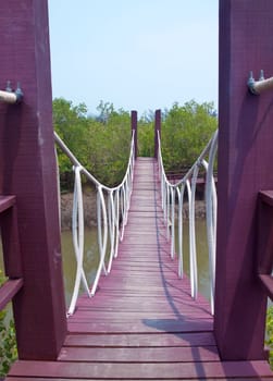 Rope bridge cross over canal in mangrove forest