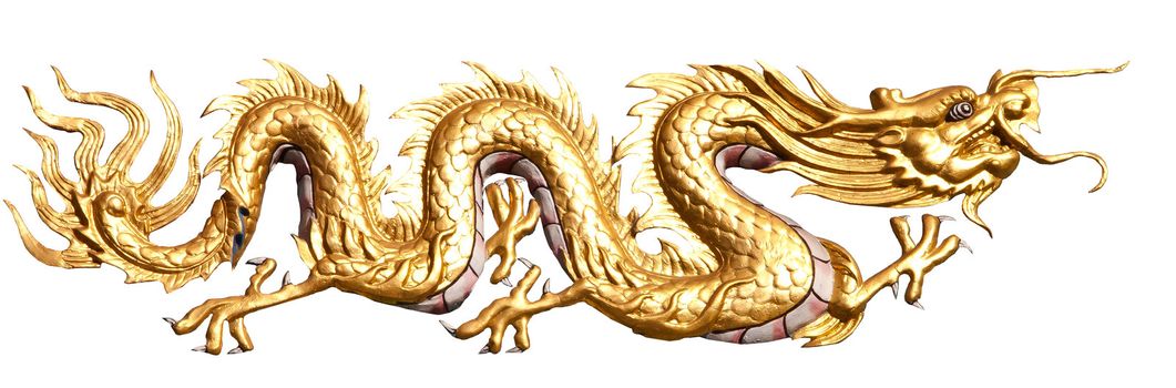 golden dragon on white background