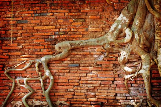 root wood covered brick wall in Temple of Thailand