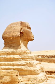 Sphinx in Cairo Egypt