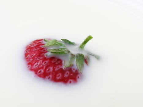 close up of strawberry in a milk