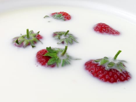 close up of strawberry in a milk