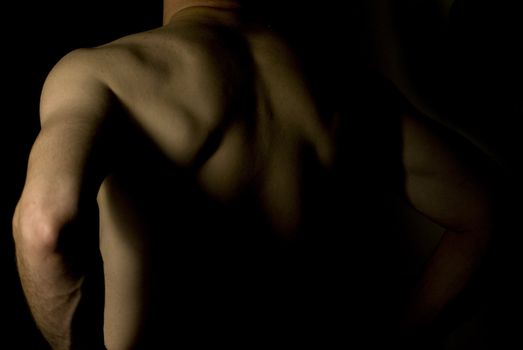 sexy fit naked male body on black background low key