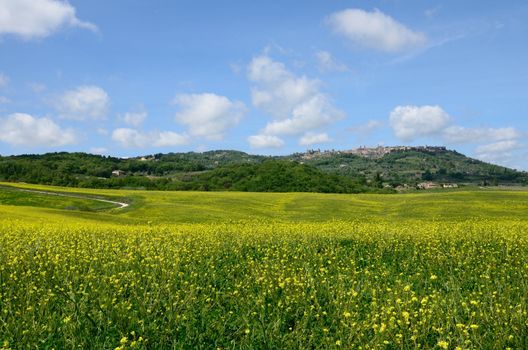 The landscape odf the "Crete Senesi" in Tuscany