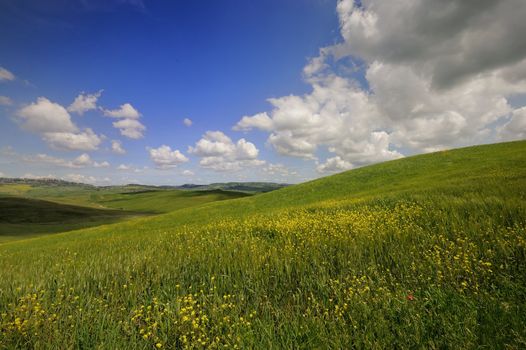 The landscape odf the "Crete Senesi" in Tuscany