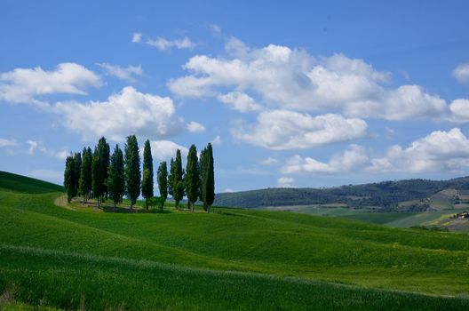 The landscape odf the "Crete Senesi" in Tuscany