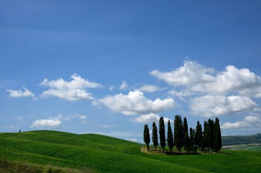 The landscape odf the "Crete Senesi" in Tuscany