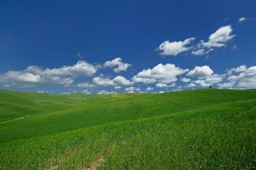 The landscape odf the "Crete Senesi" in Tuscany