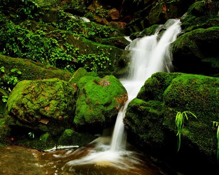 Deep forest Waterfall in Thailand