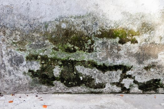 grunge cement wall for background