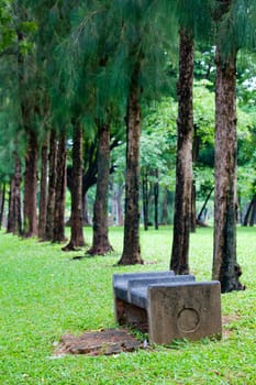 bench green park