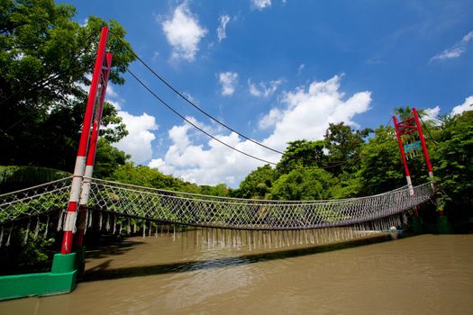 Rope walkway through the treetops in a rain forest