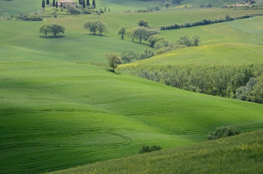 The landscape odf the "Crete Senesi" in Tuscany